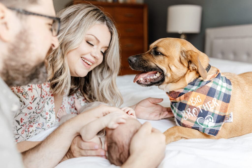 Family cuddling on a bed with their dog during an in-home newborn session