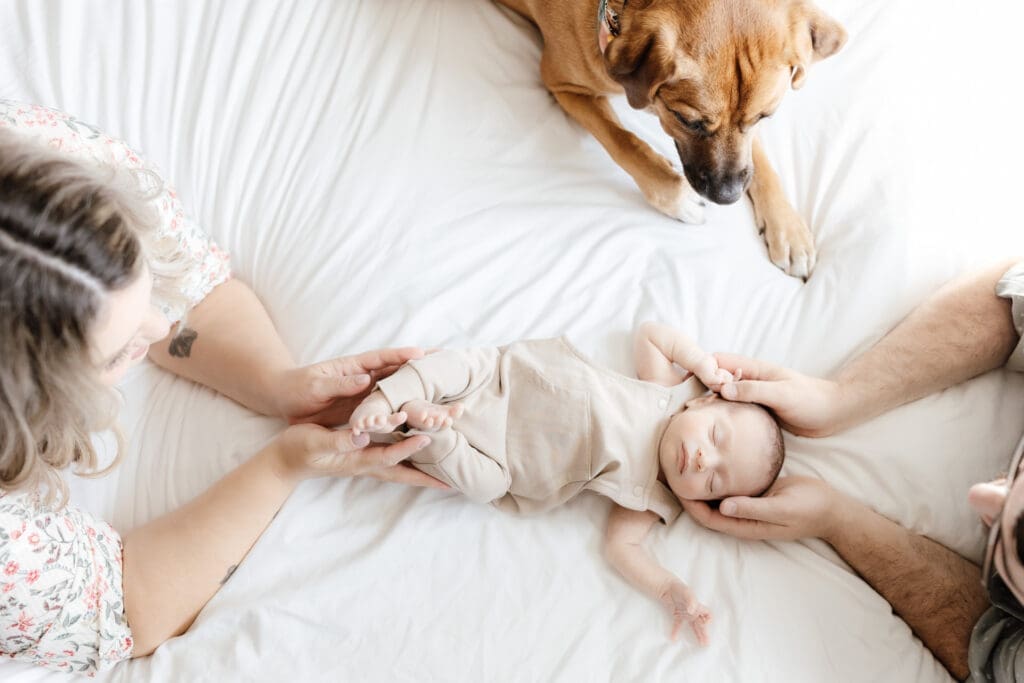 Overhead view of parents holding their newborn on a white bed wearing soft neutral clothing with the family dog looking on
