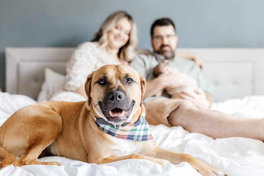 Light and airy family photos including the family pet