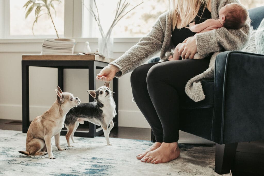 Mom holding newborn baby while feeding family dogs