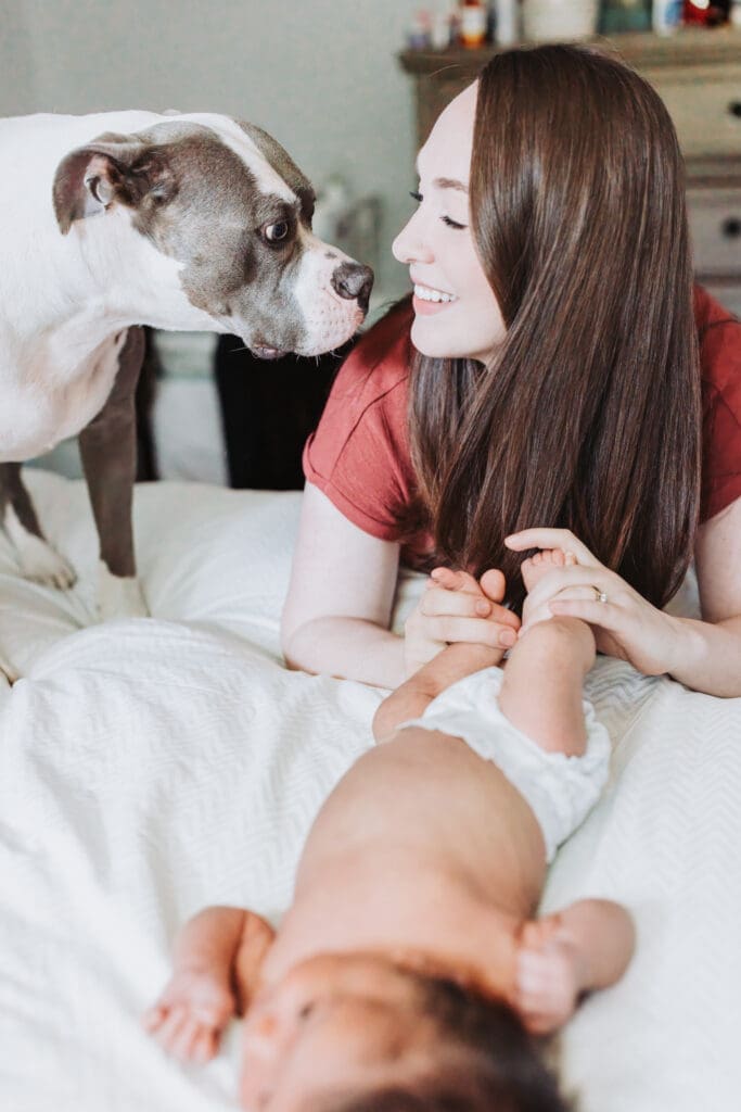 Lifestyle newborn photos on a bed
