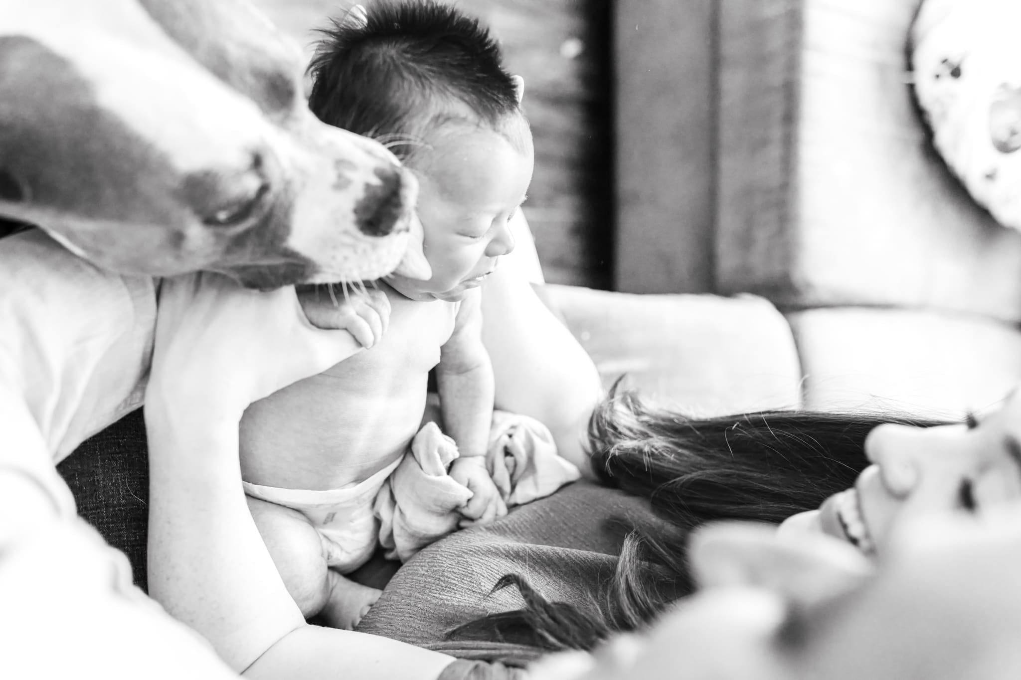 Lifestyle family photos vancouver